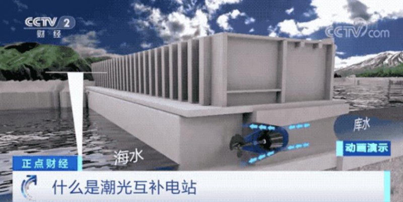 年均發(fā)電量超1億度！央視財經重點關注我國“首座”潮光互補型光伏電站