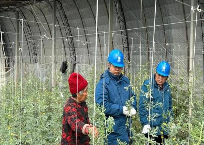 山東惠民供電公司：走訪種植大棚，優(yōu)化農(nóng)業(yè)營商環(huán)境