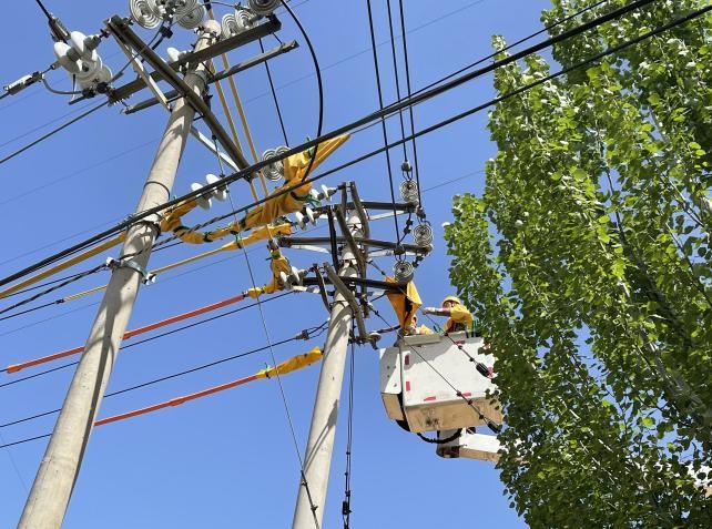 帶電作業(yè)除隱患，安全供電有保障