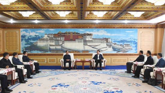 中國電建黨委書記、董事長丁焰章拜會(huì)西藏自治區(qū)黨委書記王君正、自治區(qū)主席嚴(yán)金海
