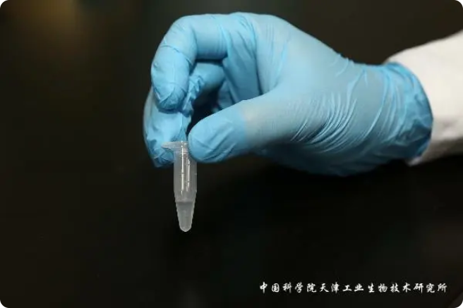 二氧化碳“變身”糖，中國科學家實現重大突破!