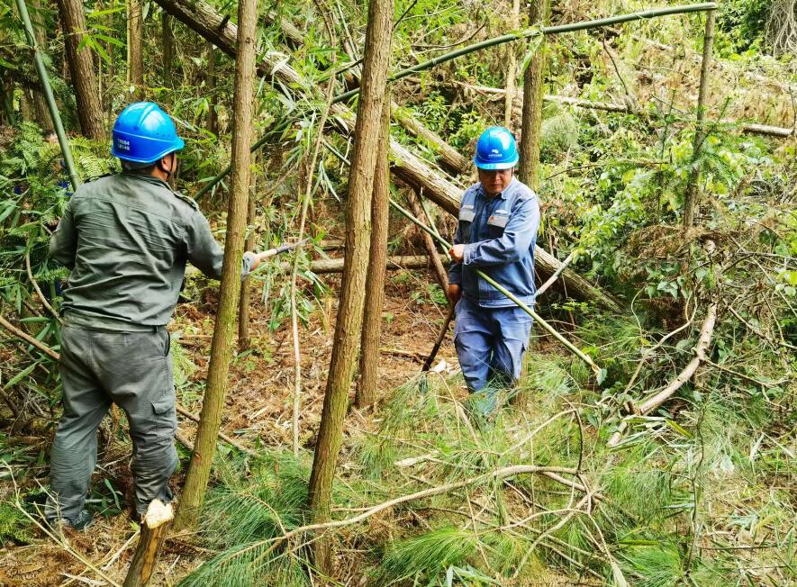 南方電網(wǎng)荔波供電局線路憂患如“猛獸”，通道清通要爭先