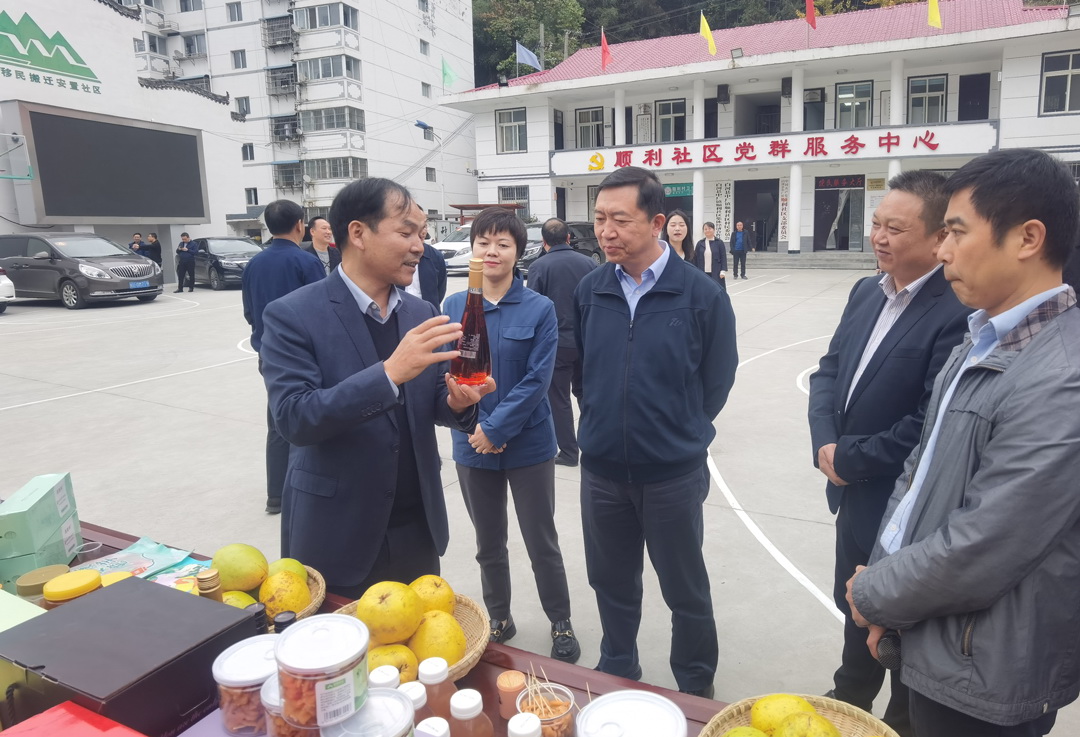 中核集團(tuán)總經(jīng)理、黨組副書記顧軍赴陜西白河、旬陽調(diào)研鄉(xiāng)村振興工作