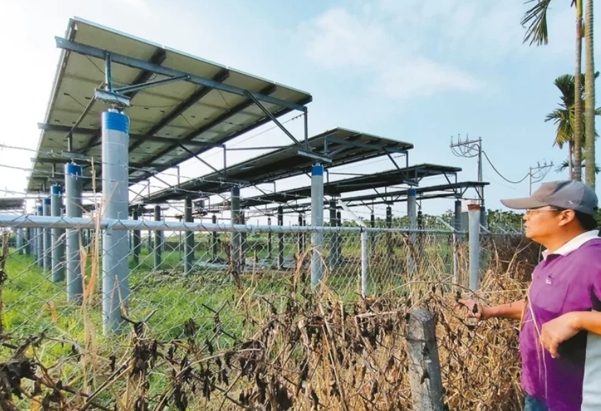 臺(tái)媒：農(nóng)田“種電”讓農(nóng)民苦不堪言，島內(nèi)面臨農(nóng)電兩失困境