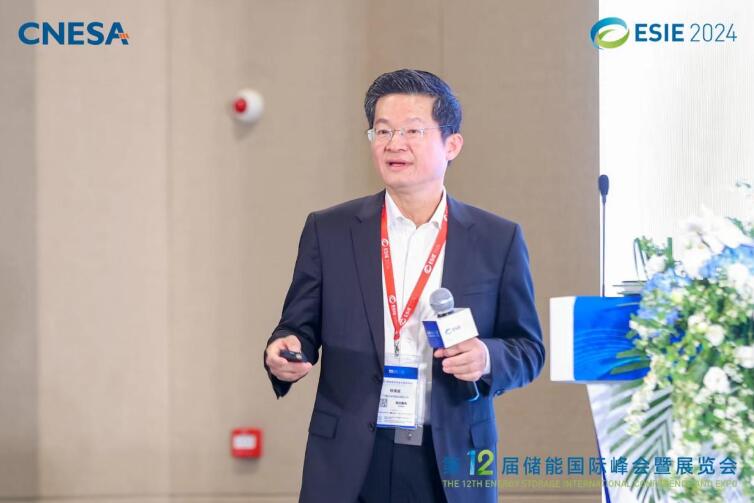 林澤波：儲能企業(yè)出海不是價格競爭，而是以定制優(yōu)質(zhì)產(chǎn)品和服務(wù)實現(xiàn)可持續(xù)發(fā)展