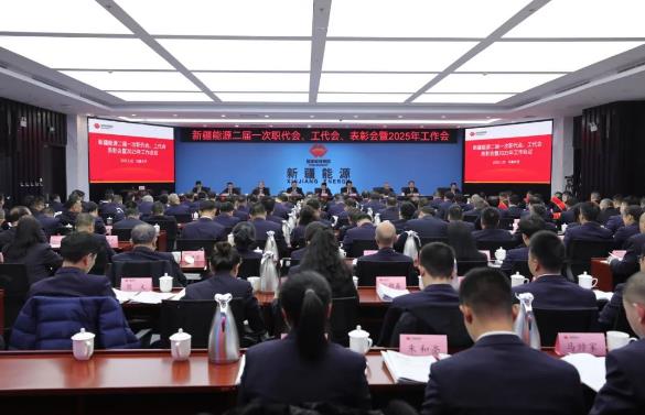 國能新疆能源召開二屆一次職代會、工代會、表彰會暨2025年工作會