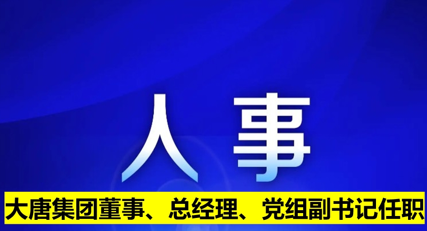 大唐集團(tuán)董事、總經(jīng)理、黨組副書記任職