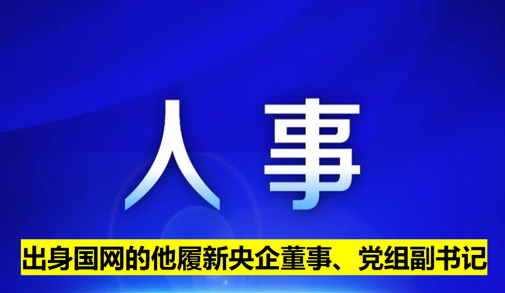 出身國網的他履新央企董事、黨組副書記
